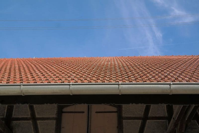 gutter cleaning